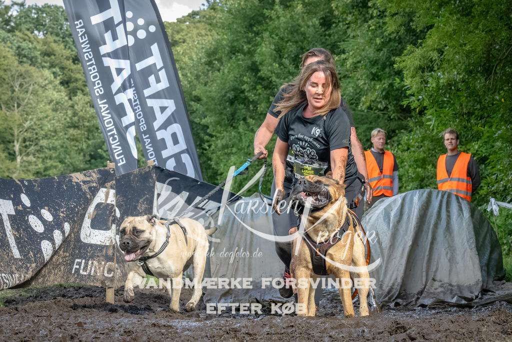 1713_ZZ91474-Bearbeitet | kk-dogfotos