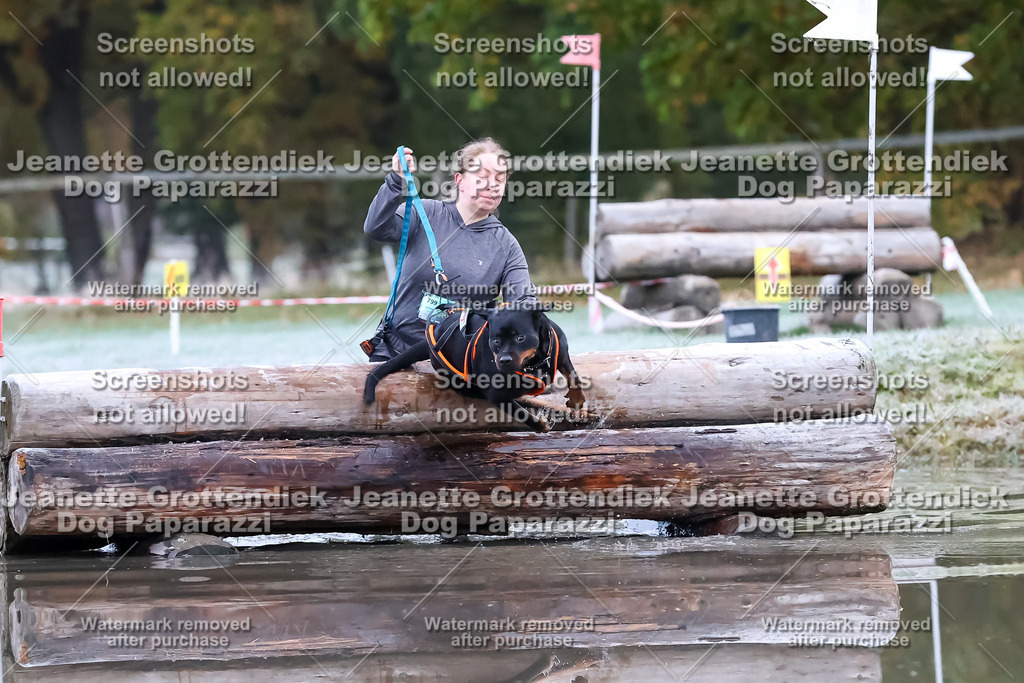 Dog Paparazzi - Strongdog 10-25-6069 | Dog Paparazzi Jeanette Grottendiek Fotografie & Videografie - Realisiert mit Pictrs.com