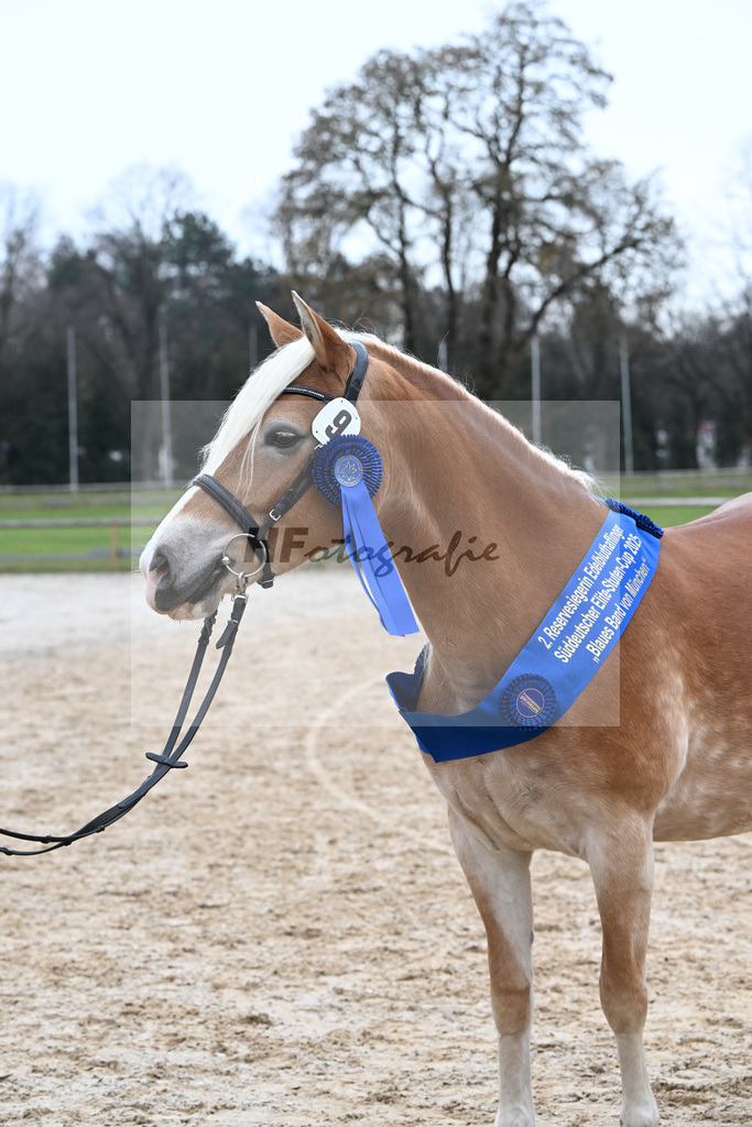 Bl. Band Kat-Nr. 9 Nina v. Sonnenkoenig Gold_Haenle_48251696 | hf-fotografie - Realisiert mit Pictrs.com