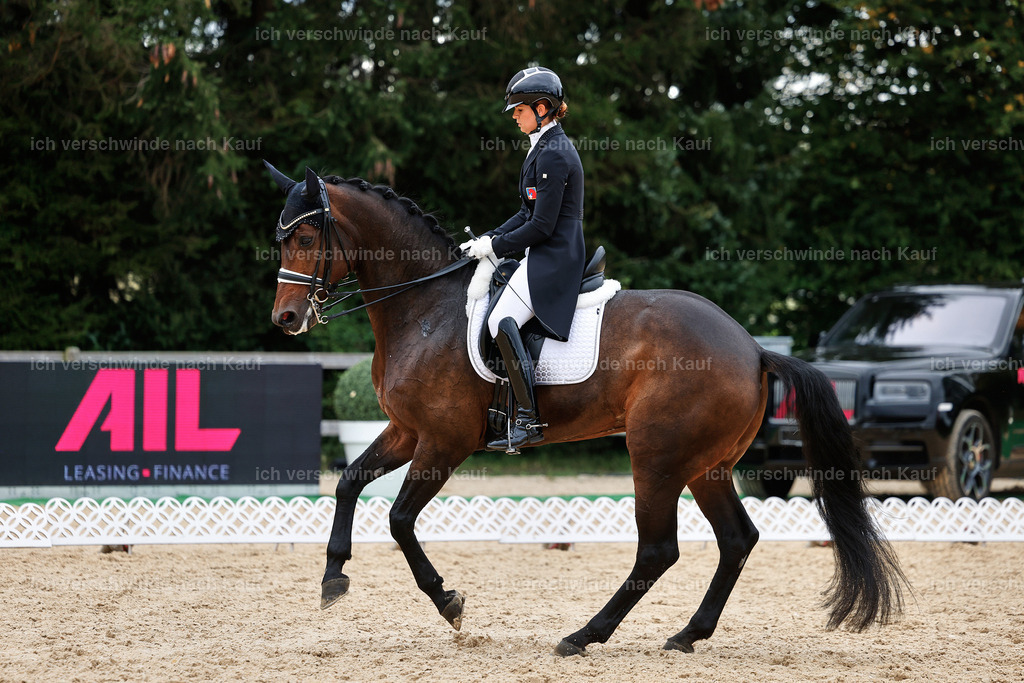 11-110-Dressur S___-StoibPH-1364 | working equitationturnier fotograf videograf stoibphotography marixx film working equitation deutschland reitsport turnierfotografie eventfotografie equestrian events