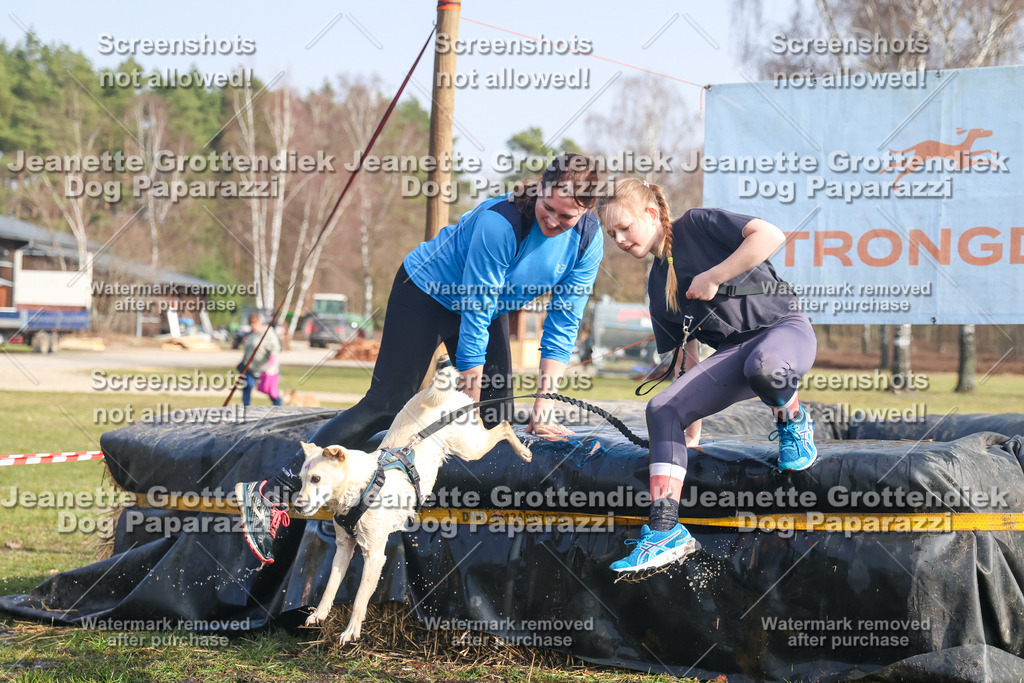 Dog Paparazzi - Strongdog North Mrz26-2172 | Dog Paparazzi Jeanette Grottendiek Fotografie & Videografie - Realisiert mit Pictrs.com