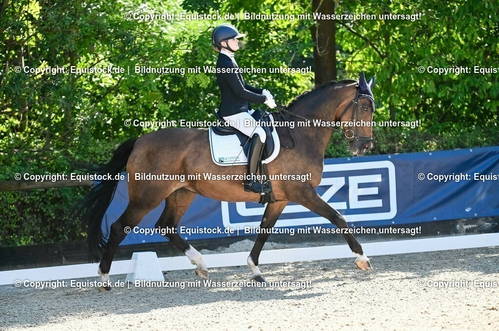 20230908_06_Dressur-L-Trense_0429 | equistock