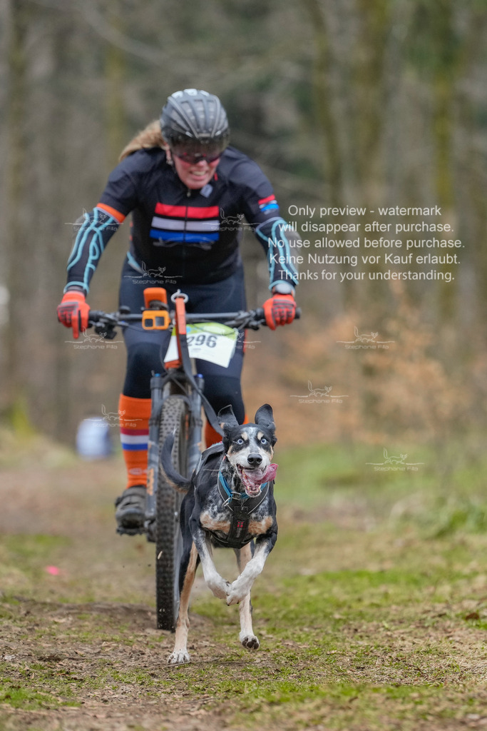 BikekurzSa-66 | stephaniefillaphotographie - Realisiert mit Pictrs.com