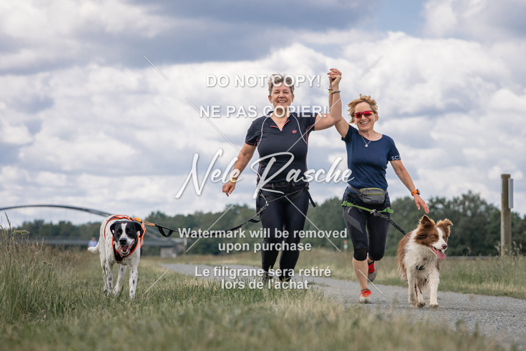 nelerasche_BuHu2026_SaCC1100-1200_153 | nelerasche