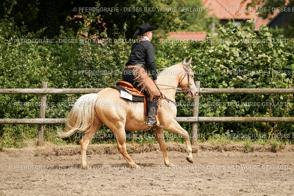 DSC00509 | Pferdegrafie