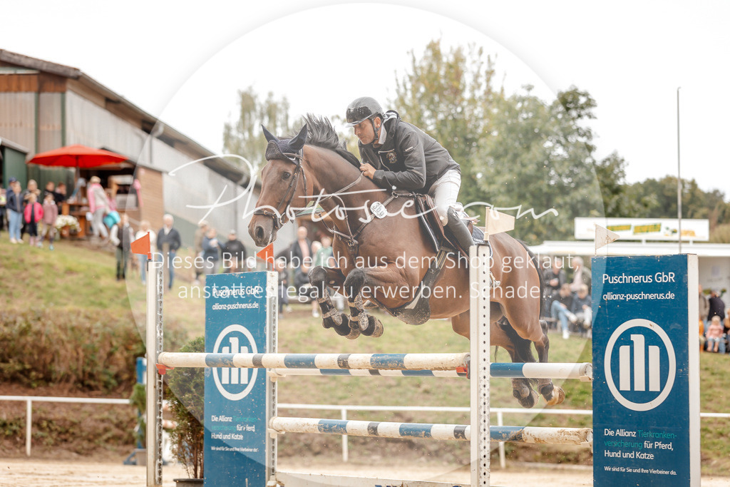 3I6A8013 | Stimmungsvolle Portraits und Reitsportfotografie im Ruhrgebiet und im Münsterland.

Pferdefotografie, Hundefotografie, Tierfotografie, Reportagen, Portraits von Tier und Mensch, Turnierfotografie in Bochum, Recklinghausen, Marl, Haltern am See, Dülmen.. - Realisiert mit Pictrs.com