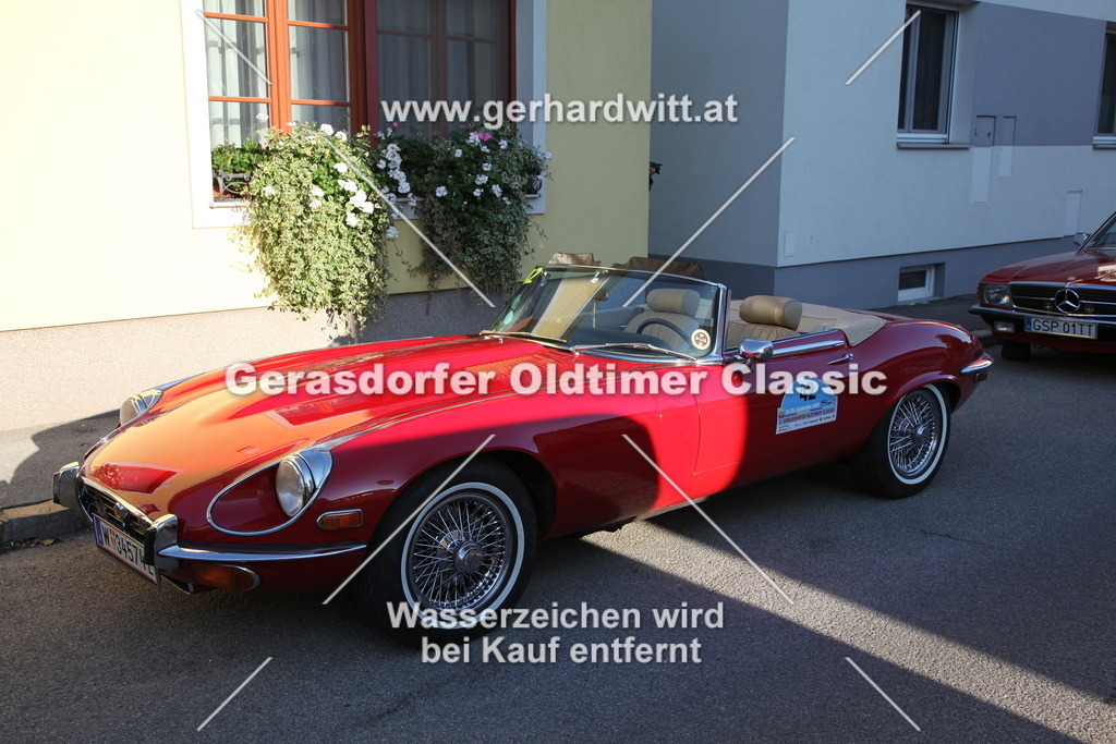 IMG_3870 | Gerhard Witt