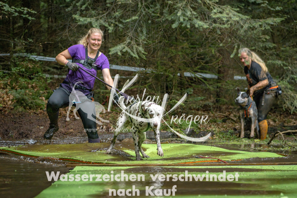 1530_ZZ90973-Bearbeitet | kk-dogfotos