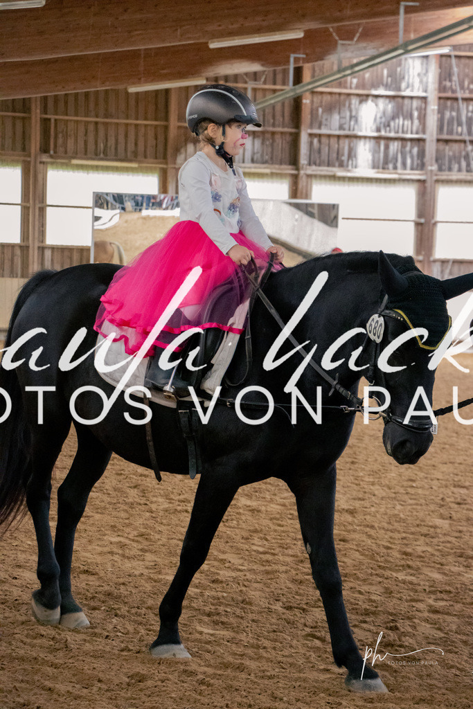 IMG_4365 | Erleben Sie dynamische Sport- und emotionale Tierfotografie in Süddeutschland mit Fotos von Paula. Spezialisiert auf Pferde- und Hundefotografie sowie Sportevents. Kontaktieren Sie mich für einzigartige und ausdrucksstarke Bilder Ihrer besonderen Momente. - Realisiert mit Pictrs.com