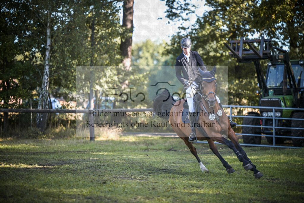 DOS_1219 | Entdecke hochwertige Reitturnierfotos von Foto Oger. Professionell, emotional und authentisch – jetzt Lieblingsmomente im Shop bestellen.Deutschlandweite Turnierfotografie. - Realisiert mit Pictrs.com
