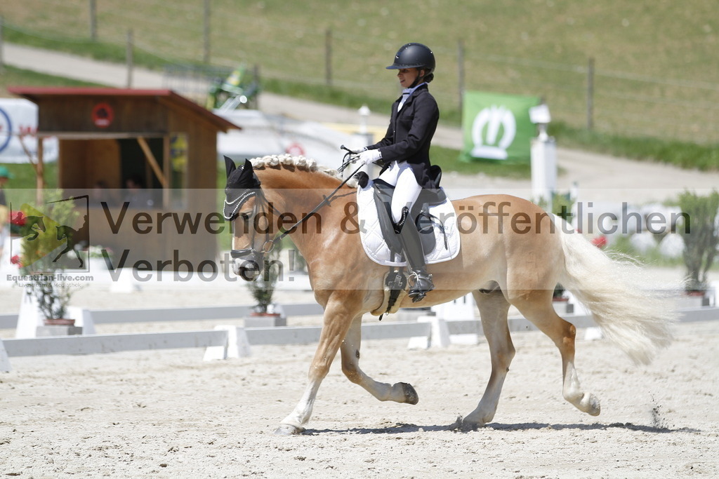 _MG_5049 | equestrian-live-com