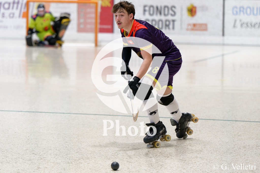 DSC_6103 | Velletri Photo