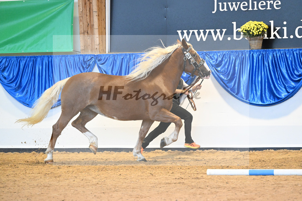Kat-Nr. 57 Eliana W2_Waldherr_53220144 | hf-fotografie - Realisiert mit Pictrs.com