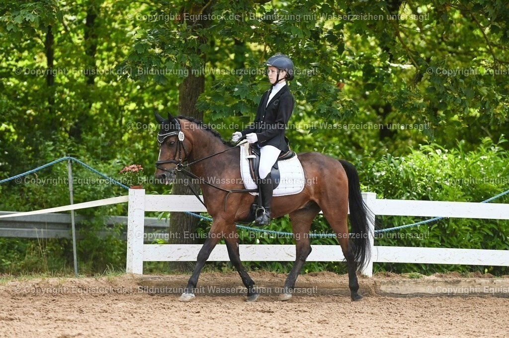 20230716_10-2_Reiter-WB Schritt - Trab - Galopp_0189 | equistock