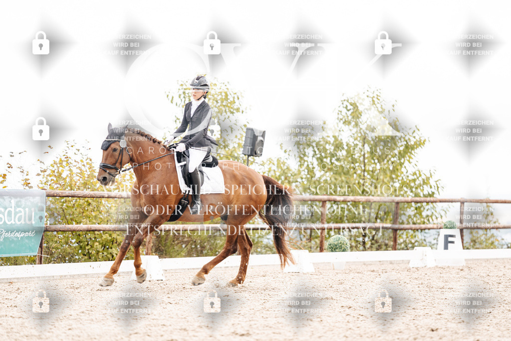 CK900850 | Turnierfotografie Pferdefotografie Trier Rheinland-Pfalz Pferdesport Reitsport Tierfotografie Sportfotografie Pferdevideo Pferdevideografie Equestrianvideography equestrianphotography  - Realisiert mit Pictrs.com