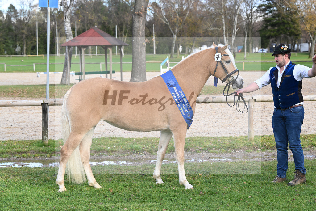 Kat-Nr. 7 Daria v. Armani Ass_Obermaier_60221366 | hf-fotografie - Realisiert mit Pictrs.com