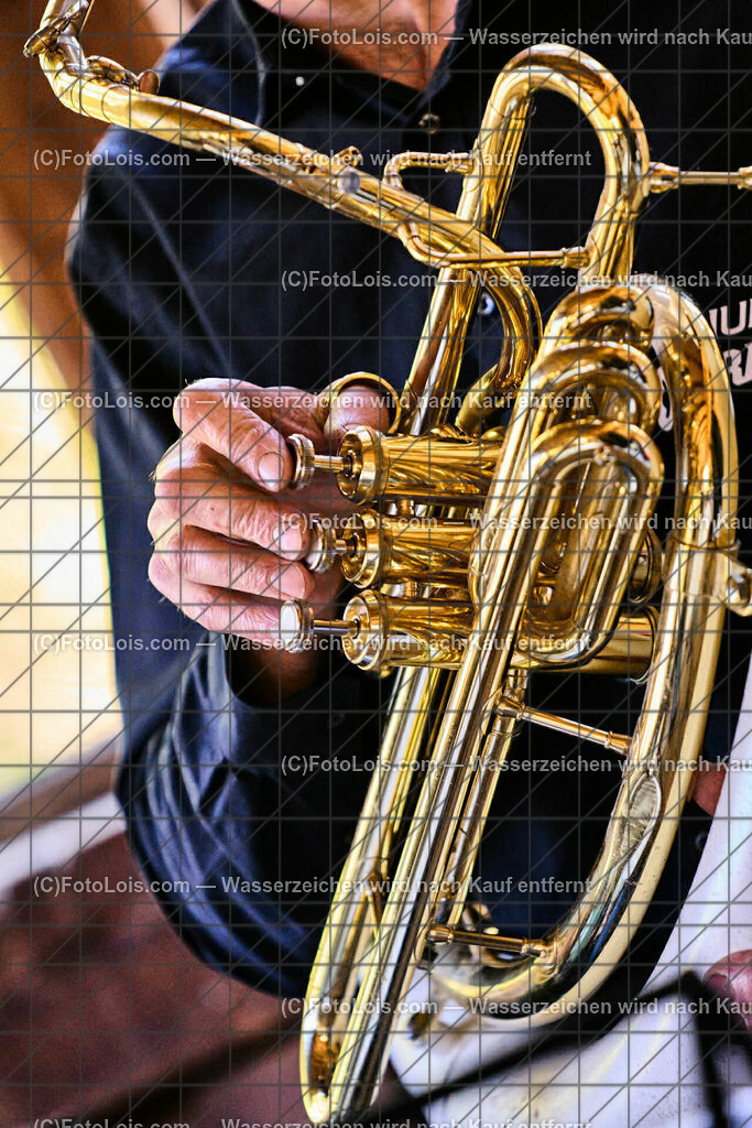 ALP1488_TdoA-NOe_SteinSkulpturen_Sousaphon_Teufel Gerhard | (C)FotoLois.com, Alois Spandl, NÖ-Tage der offenen Ateliers, STEINSKULPTUREN von Maria HEINRICH, präsentiert im rothschild'schen Glassalon - am Sonntag mit musikalischer Untermalung von LIUNZE BRASS - sozusagen 'Das klingende offene Atelier der Steinskulpturen' in Langau/Maierhöfen, So 16. Oktober 2022.