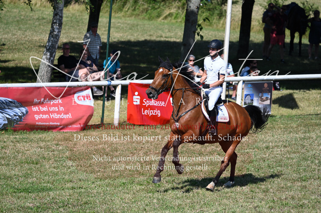 DSC_1932 | Pferde- und Turnierfotografie in Westsachsen. Pferdeportraits, Auftragszeichnungen und intuitive Kunst.