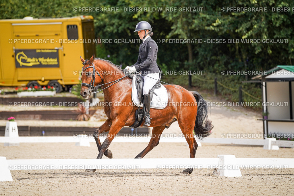 DSC05058 | Pferdegrafie