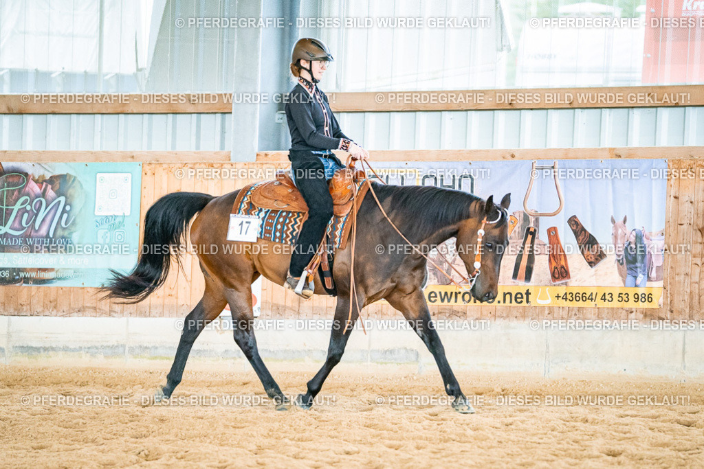 DSC02658 | Pferdegrafie