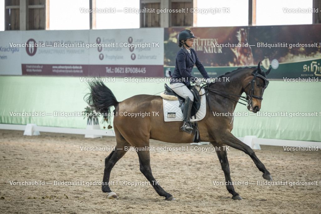 _D5A3392 | Emotionale Pferde- & People-Fotografie rund um Heidelberg, Leimen & Umgebung. Natürliche Fotos von Pferd, Mensch & Familie. Jetzt Termin sichern!