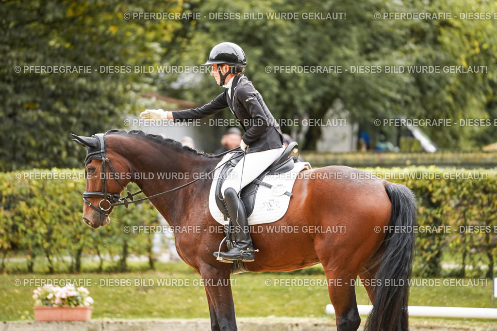 DSC02491 | Pferdegrafie