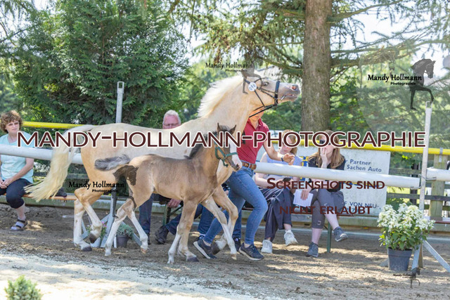 _MG_5004 | mandyhollmannphotographie