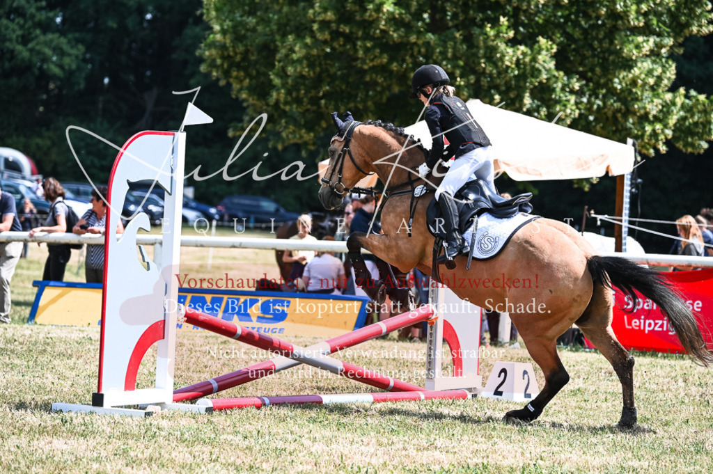 DSC_9707 | Pferde- und Turnierfotografie in Westsachsen. Pferdeportraits, Auftragszeichnungen und intuitive Kunst.