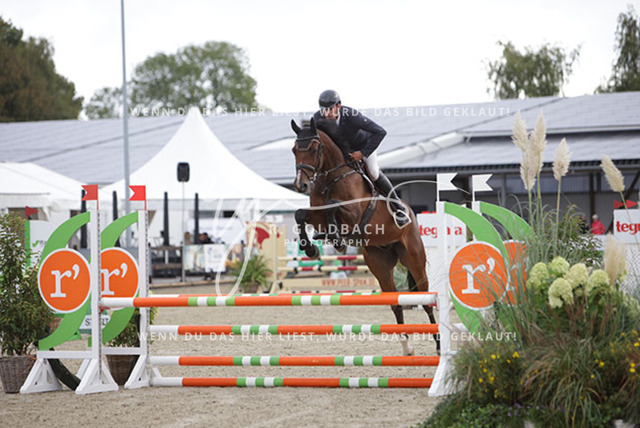 1J2A8785Andreas Erni_ Ussuri 18_ Kn960_ Havekost | Foto- und Videografie für alles rund ums Pferd. Hochwertige Bilder und Videos vom Spring- und Dressurreiten, Voltigieren & mehr. Jetzt aktuelle Veranstaltungen und Preise im Shop ansehen. - Realisiert mit Pictrs.com