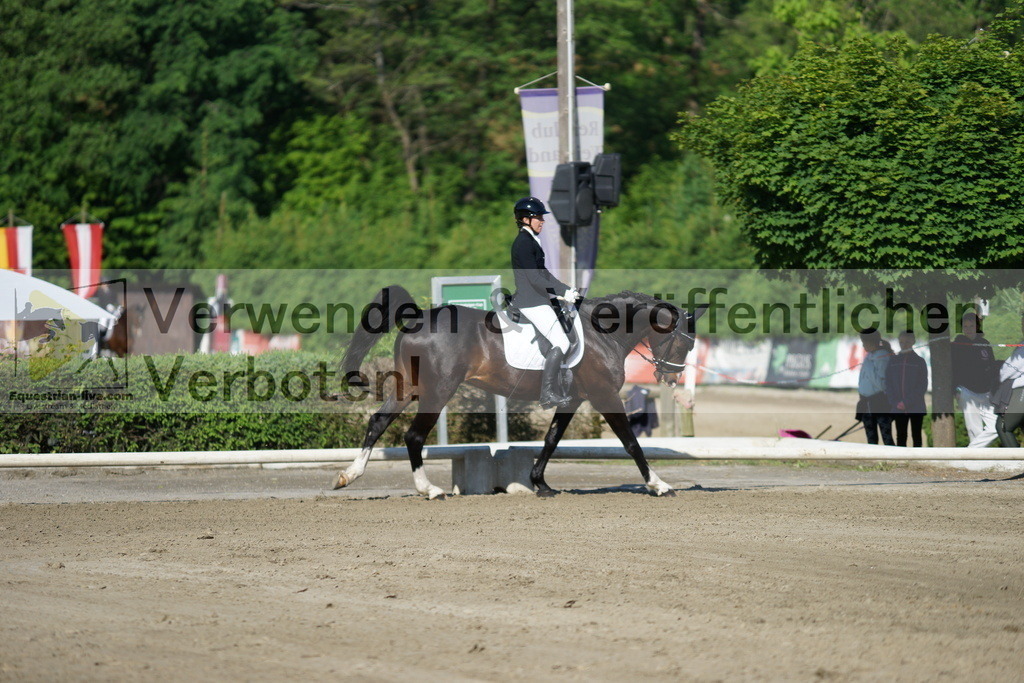 DSC04139 | equestrian-live-com