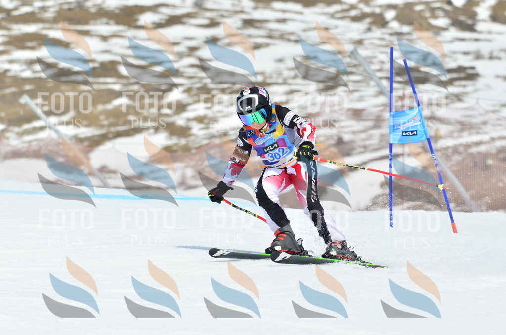 _ELE2211 | holidayphoto