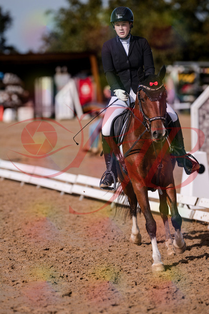 2026_10_03_Siefer-Hof_115808_Z81_00412182 | Professionelle Reitsport-, Turnier- und Eventfotografie von Robert Broda. Galerien mit ausgewählten und bearbeiteten Bildern direkt online ansehen und bestellen.