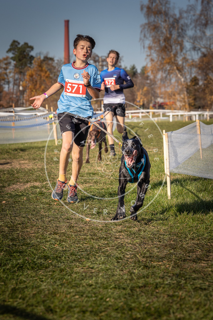 CaniXpix_0L8A8066 | Hundefotografie, Tierfotograf, Pfotenfotografie, Fotoshooting Hund, Hunde Portrait, Hundesport, Hundeportraits, Heideshooting, Hunde, Sportfotograf, Hundefotograf, Turnierhundsport, THS,  - Realisiert mit Pictrs.com