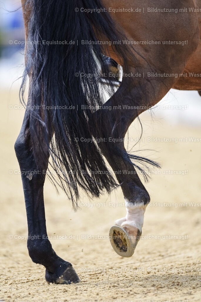 20250607_1_GP-Tour_Dressage_0099 | Foto: Thomas Hartig