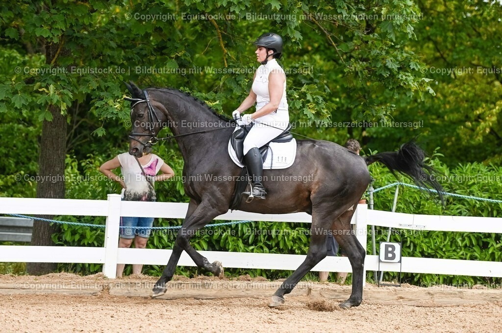 20230715_05_Dressurprüfung Kl.A++_0166 | equistock