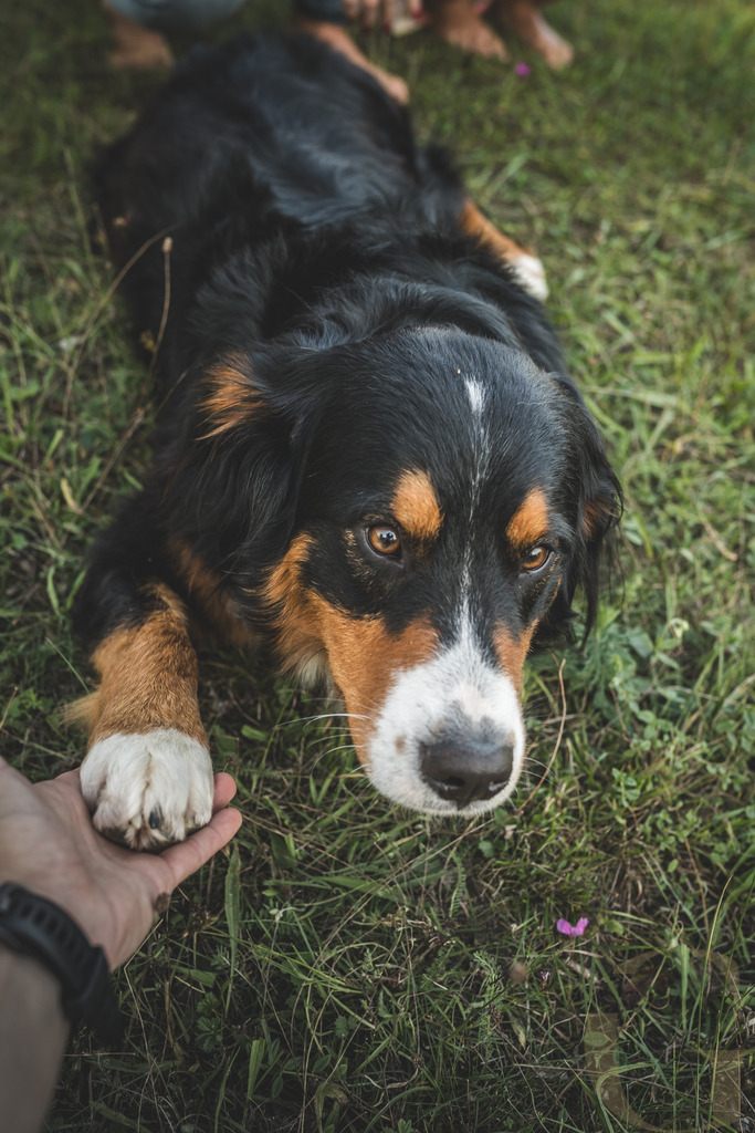 MGFoto-08818 | Newborn - Realisiert mit Pictrs.com