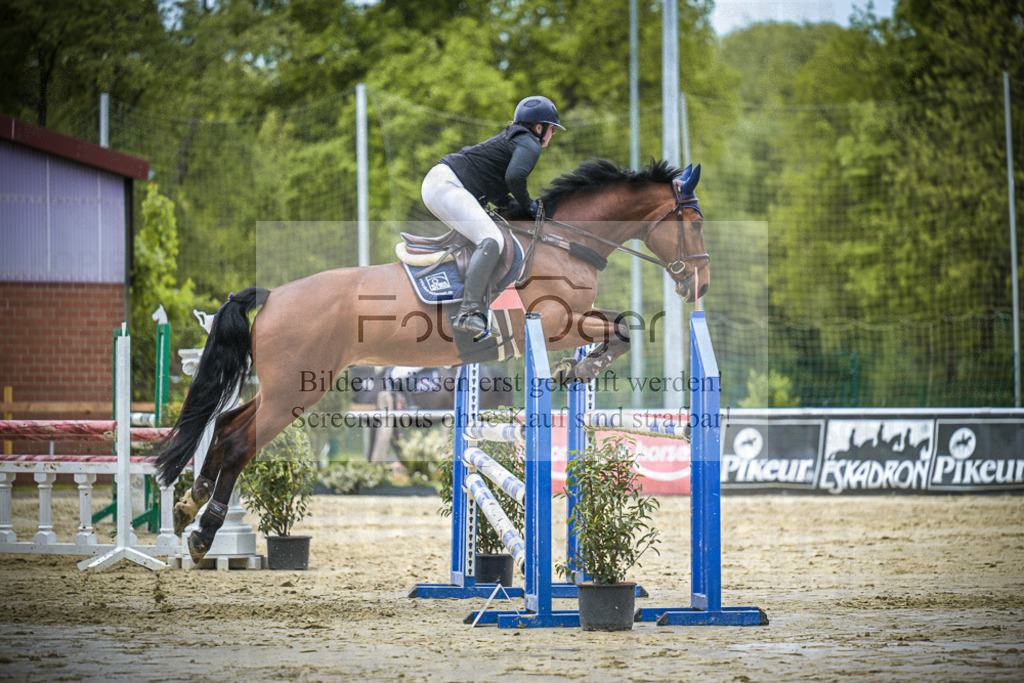 DOS_6426 | Entdecke hochwertige Reitturnierfotos von Foto Oger. Professionell, emotional und authentisch – jetzt Lieblingsmomente im Shop bestellen.Deutschlandweite Turnierfotografie. - Realisiert mit Pictrs.com