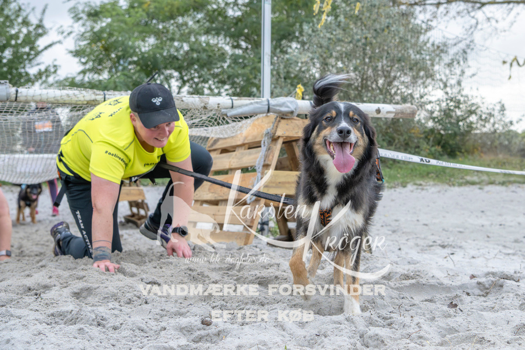 1123_ZZ96282 | kk-dogfotos