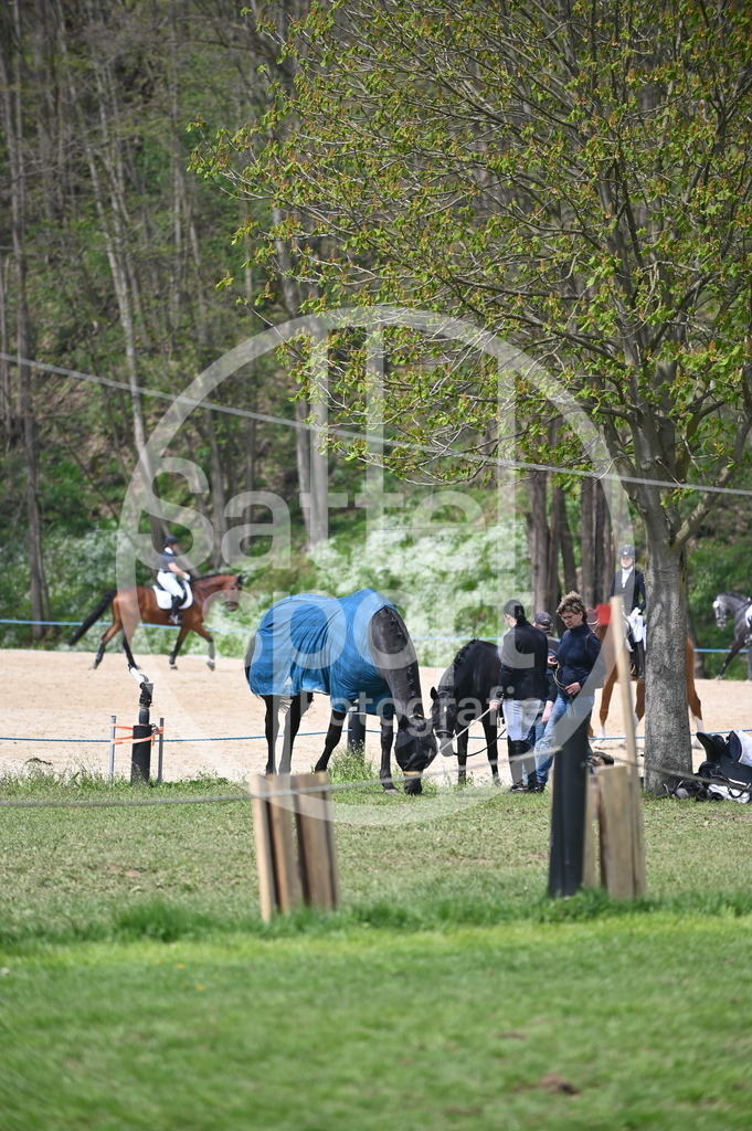 DSC_1904 | sattelsport - Realisiert mit Pictrs.com