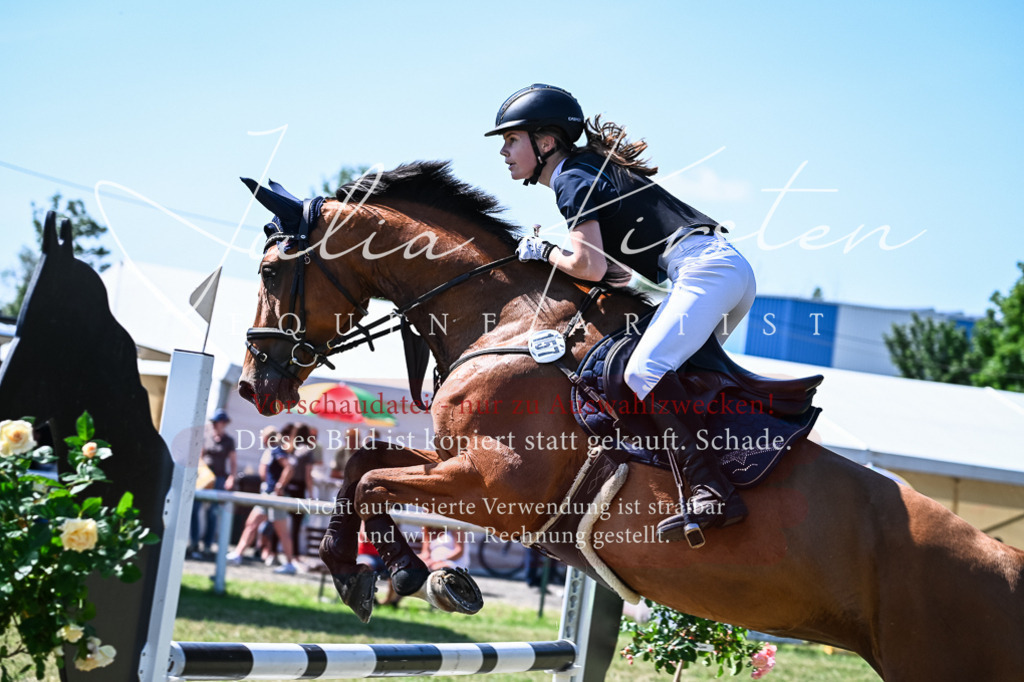 DSC_1470 | Pferde- und Turnierfotografie in Westsachsen. Pferdeportraits, Auftragszeichnungen und intuitive Kunst.