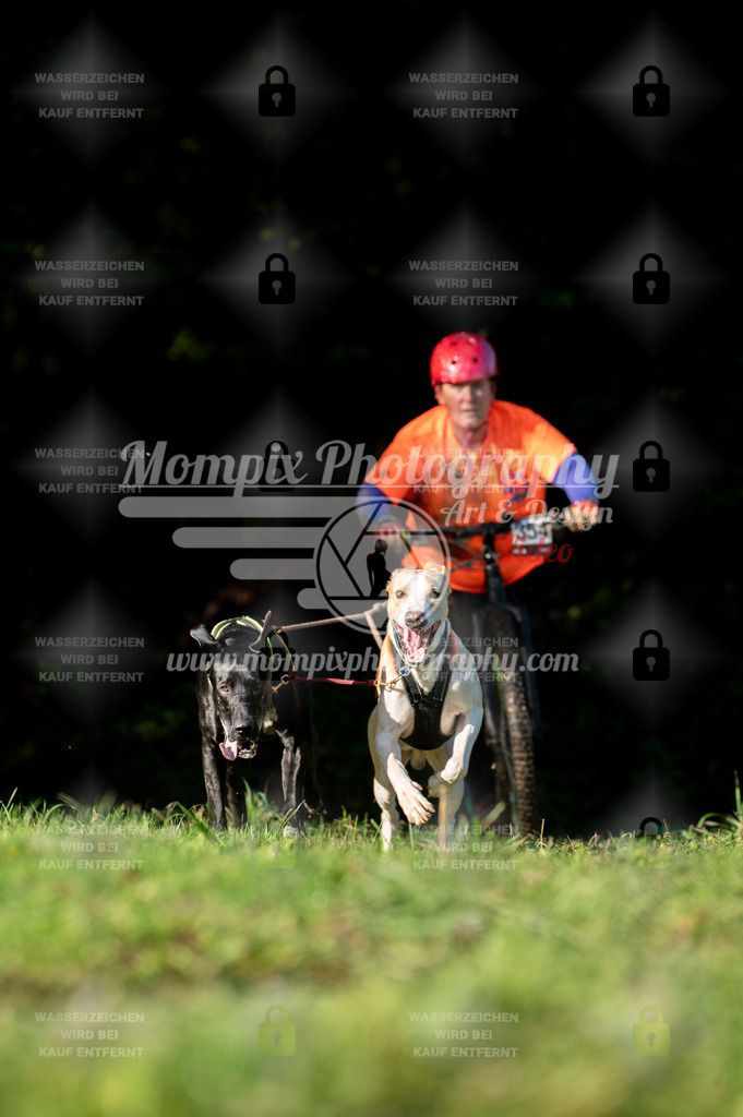 TSB_2023_E7_DS2-13 | PayLife