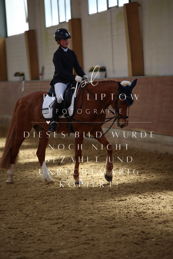 IMGT4207 | pl-fotografie