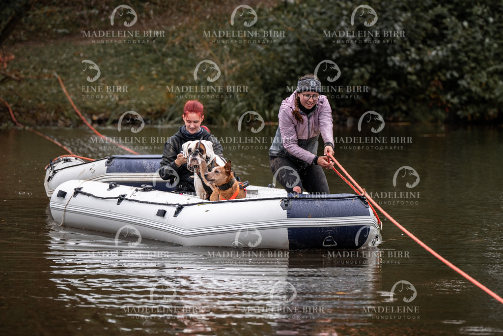 madeleinebirr-fotografie2025.campcanis.Startbis9Uhr-132 | hundefotografie-birr