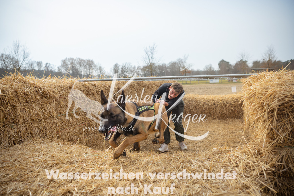 1048_ZZ99519 | kk-dogfotos