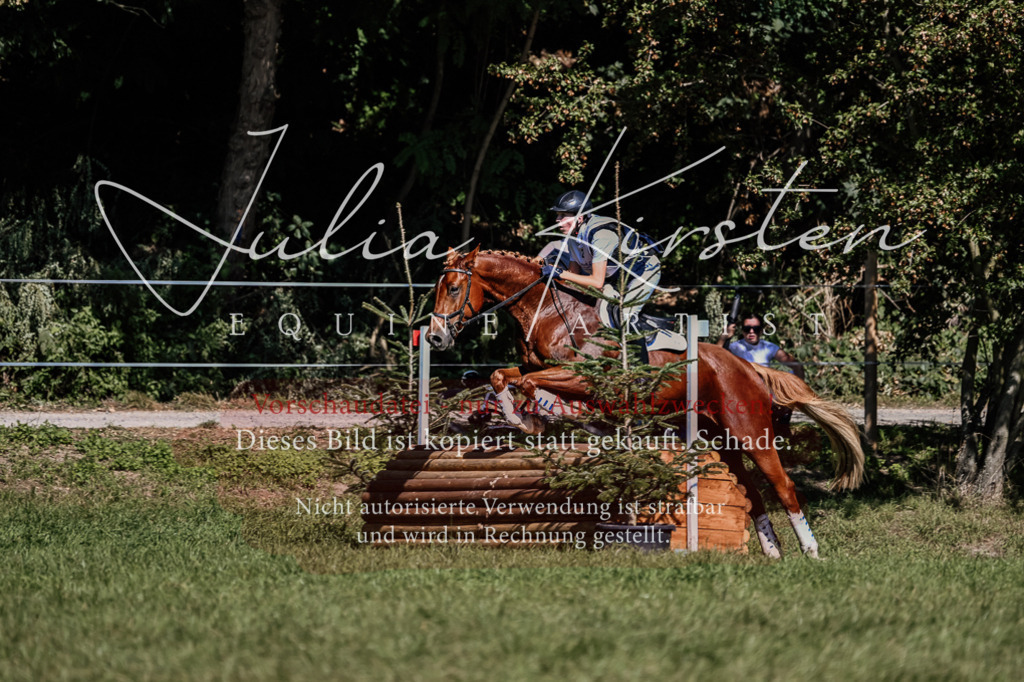 DSC_1335 | Pferde- und Turnierfotografie in Westsachsen. Pferdeportraits, Auftragszeichnungen und intuitive Kunst.