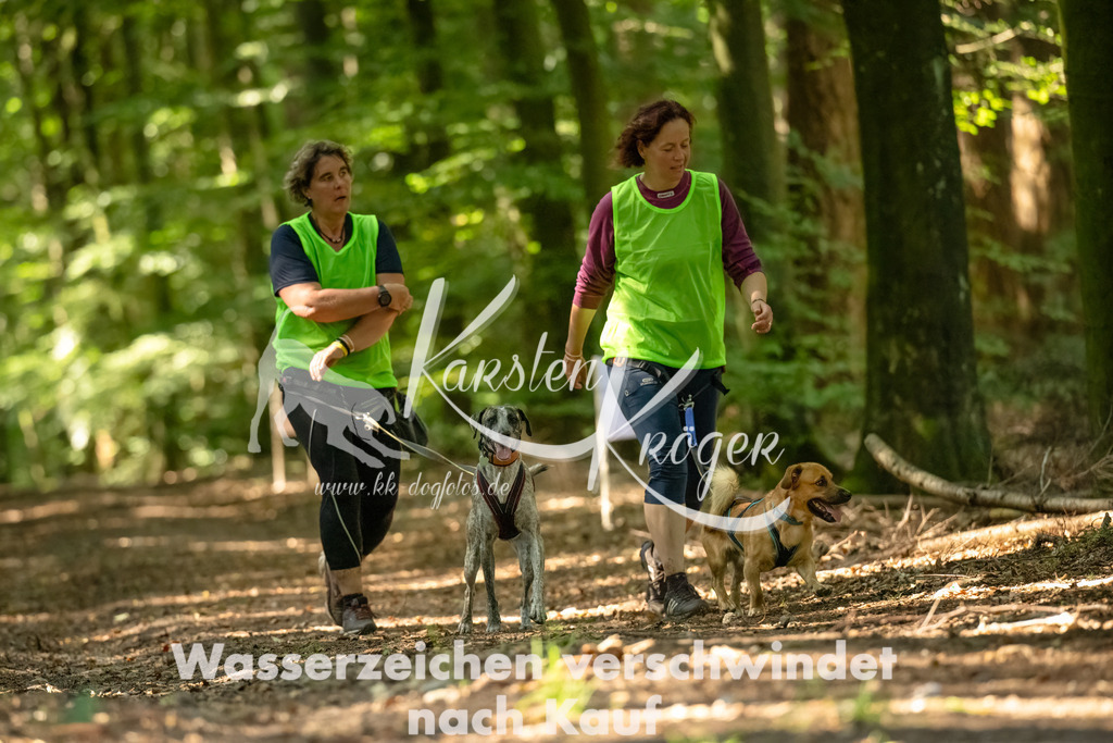 1406_ZZ94464-Bearbeitet-3 | kk-dogfotos