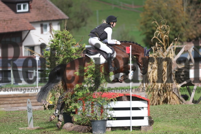 Altensteig_2024_Prfg.Nr.02_Geländepferdeprfg.Kl.A_Anja Kling_Ivy 43 (6) | Alle Fotos der Reiterjournal Fotografin Doris Matthaes im Reiterjournal Online-Fotoshop. - Realisiert mit Pictrs.com