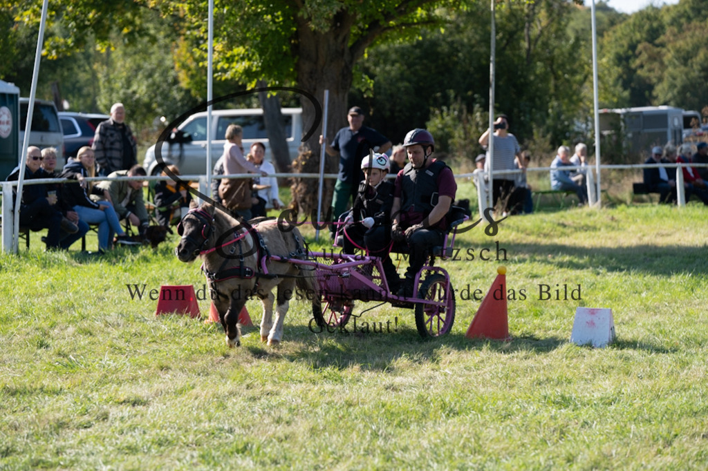 A7V04396 | Pferdefotograf