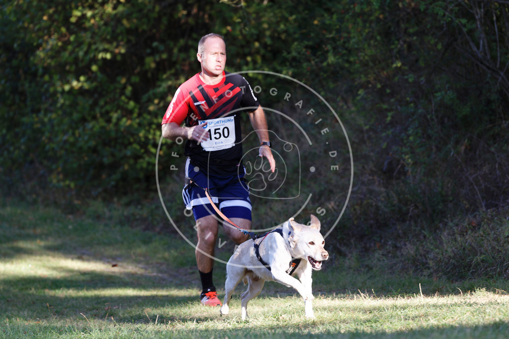 0L8A4995 | Hundefotografie, Tierfotograf, Pfotenfotografie, Fotoshooting Hund, Hunde Portrait, Hundesport, Hundeportraits, Heideshooting, Hunde, Sportfotograf, Hundefotograf, Turnierhundsport, THS,  - Realisiert mit Pictrs.com