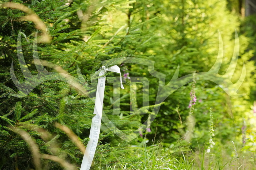 FC103206 | Fotogalerie der Treibjagd im Dunkelwald - Dein MTB Etappenrennen im Erzgebirge - Realisiert mit Pictrs.com